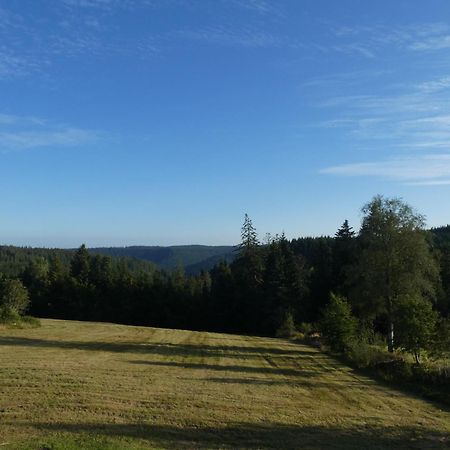 Naturapartment Schwarzwaldseele Kniebis Freudenstadt Exteriér fotografie