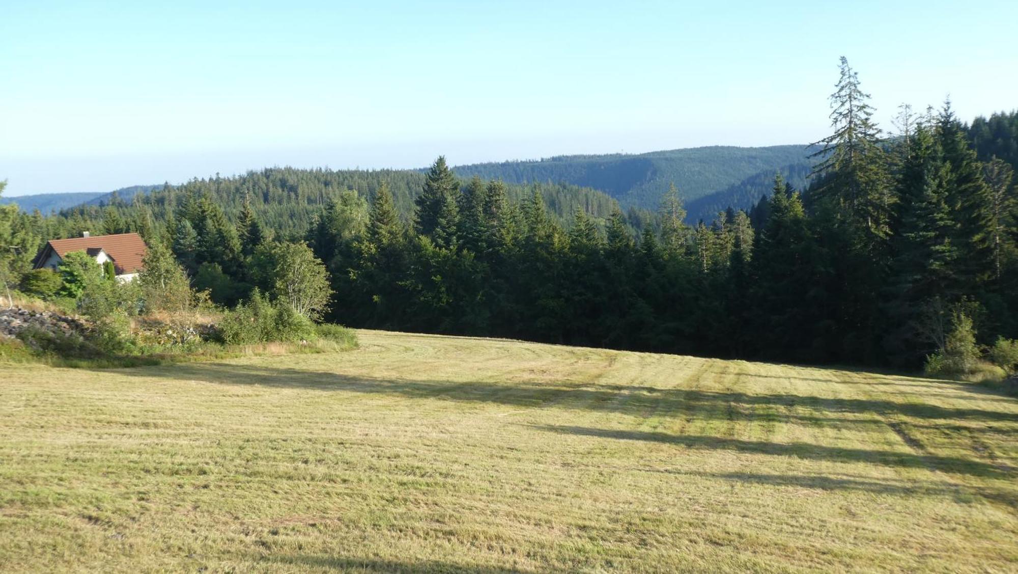 Naturapartment Schwarzwaldseele Kniebis Freudenstadt Exteriér fotografie